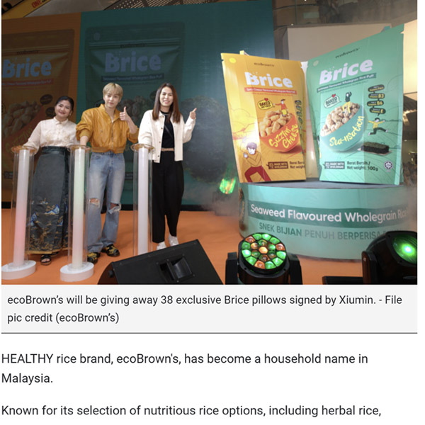 ecoBrown's unveils Brice, a new healthy rice snack range